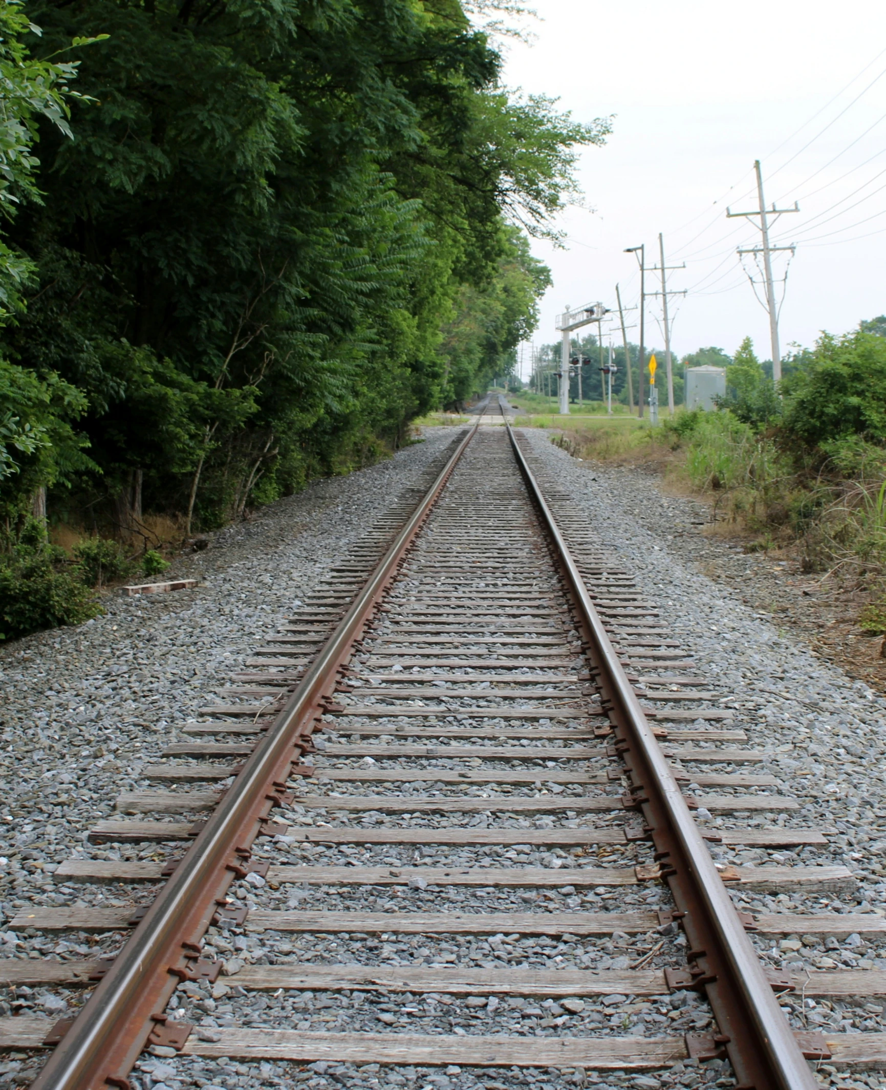 an empty railroad track near a forrest on a cloudy day