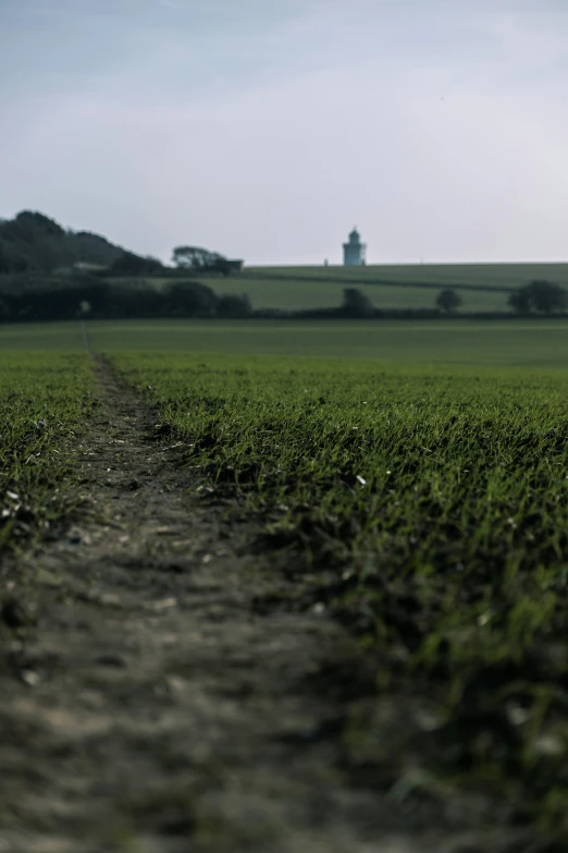 a small tree stands in the middle of the field