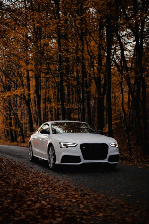the audi is sitting on the side of a road near many trees