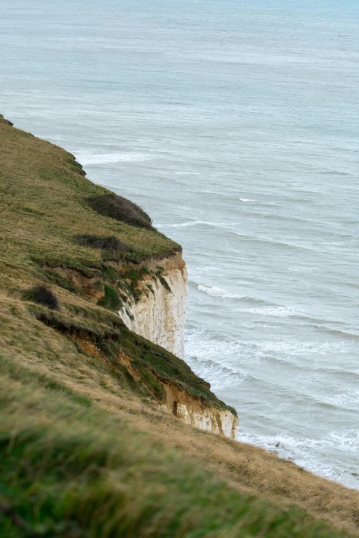 a grassy hillside next to the ocean next to a cliff with a white face on top