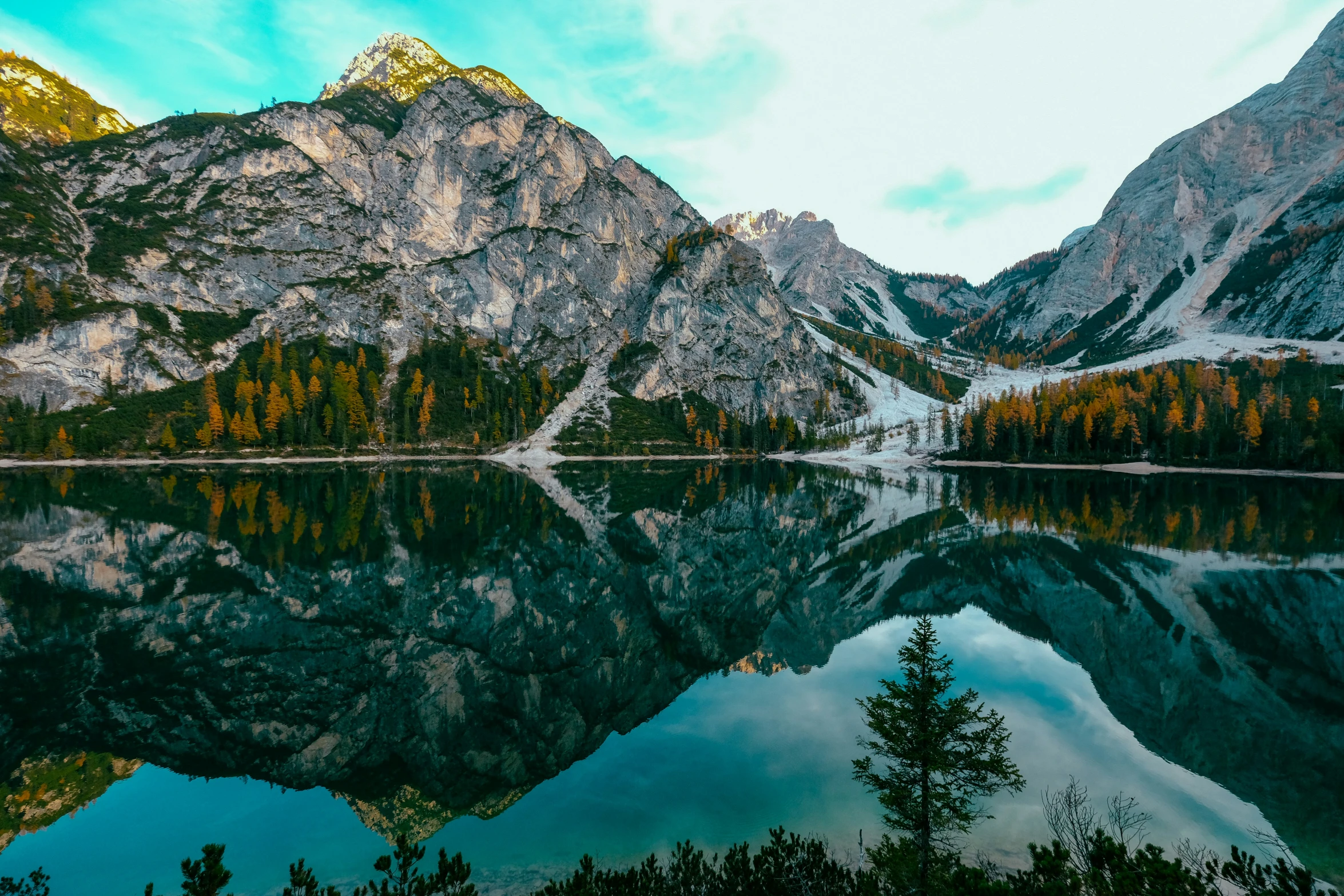 mountains and trees reflected in still water