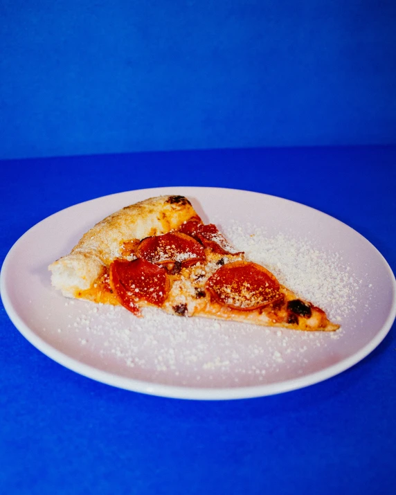 a piece of pizza is laying on a plate
