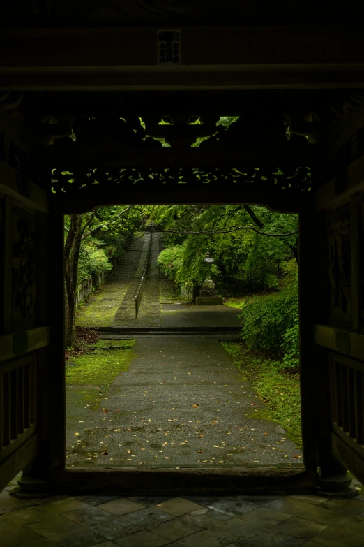 a view out of a walkway of a park