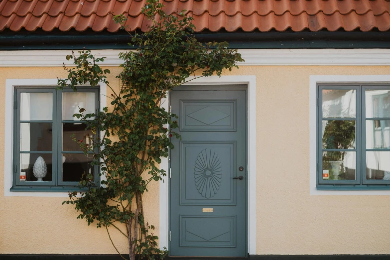 the building with windows has a green bush growing in front