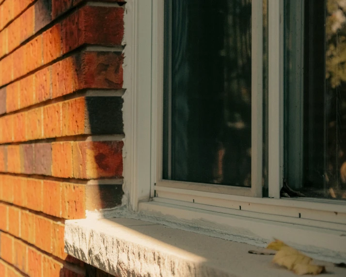 a yellow and white cat is sitting on a ledge