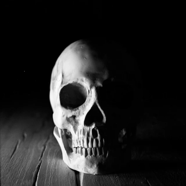 a po of a human skull is in the dark
