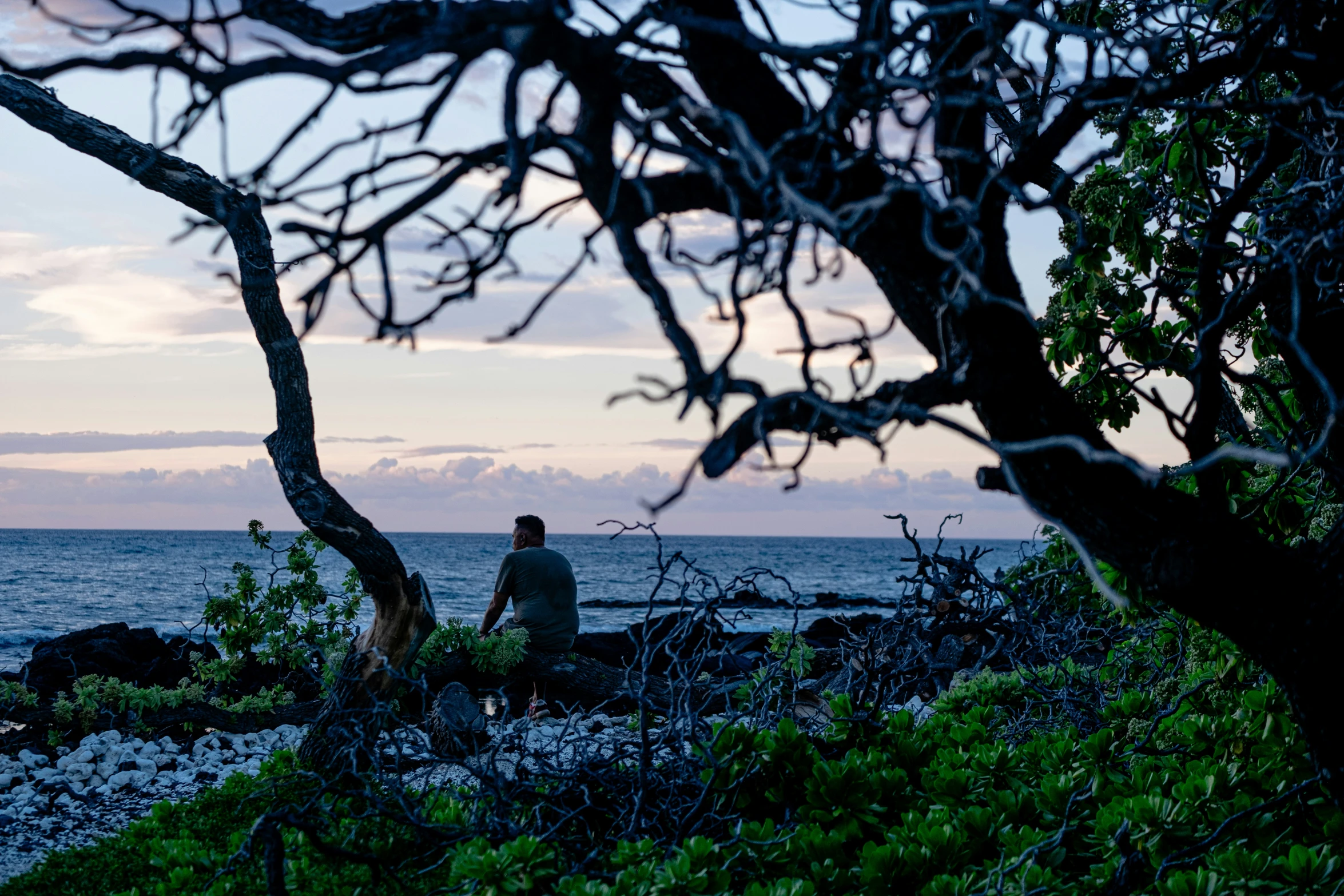 two people sitting under trees on the beach