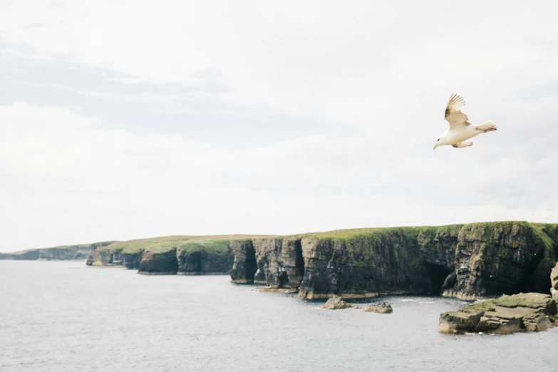 a bird flying over an island with lots of sea birds