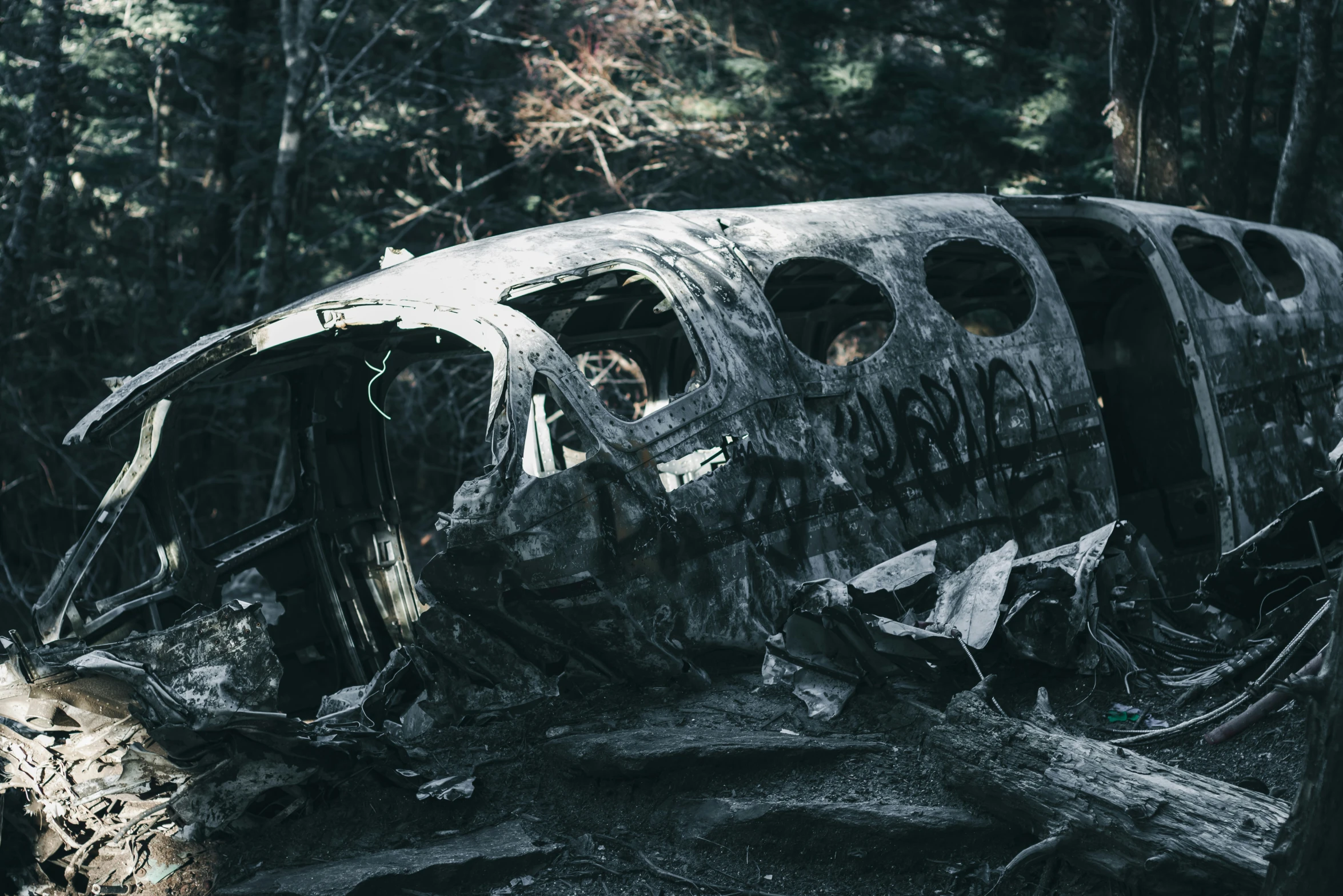 a destroyed plane lies in the woods