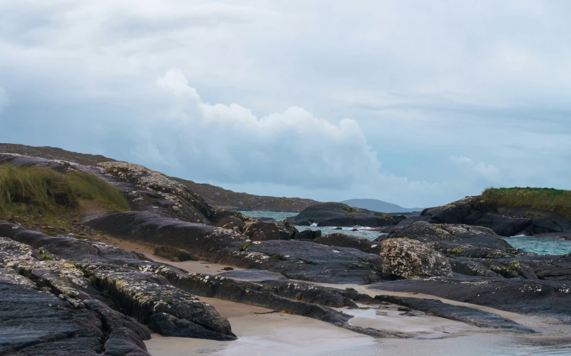 a bird is sitting on a beach near some rocks