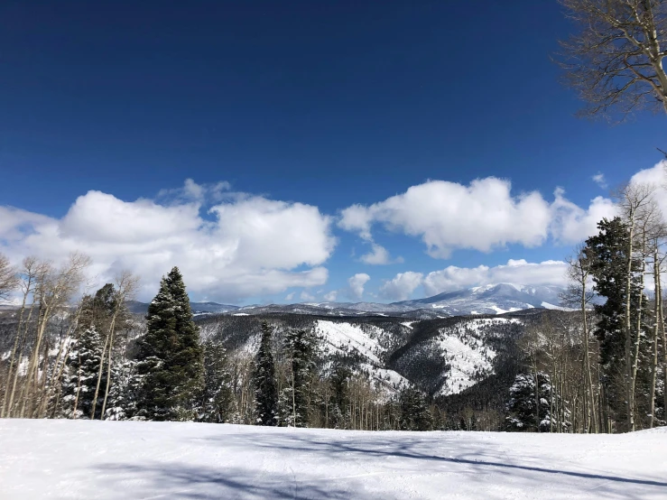 a snow covered hill with trees and snow on the ground