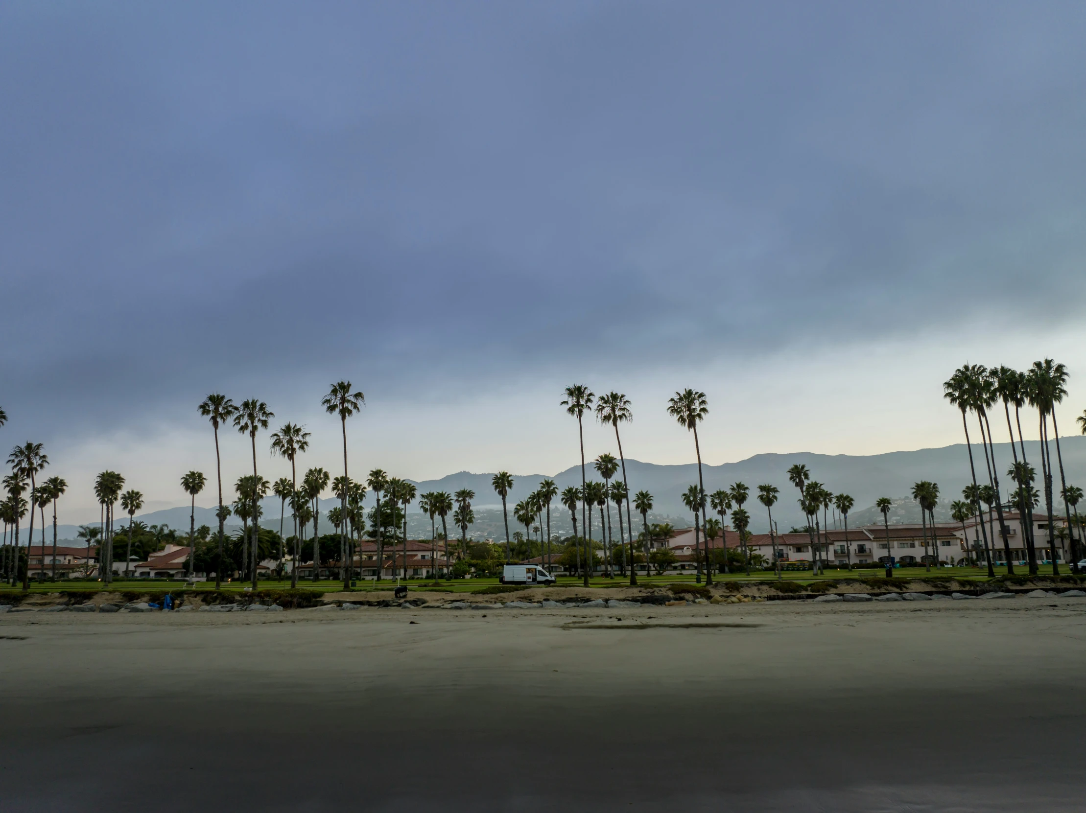 a very wide open area with many palm trees in it