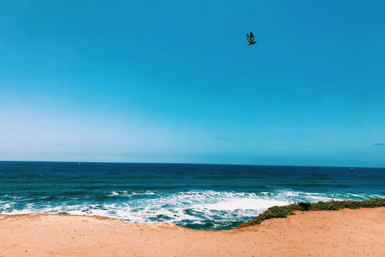 a beach is near a big body of water