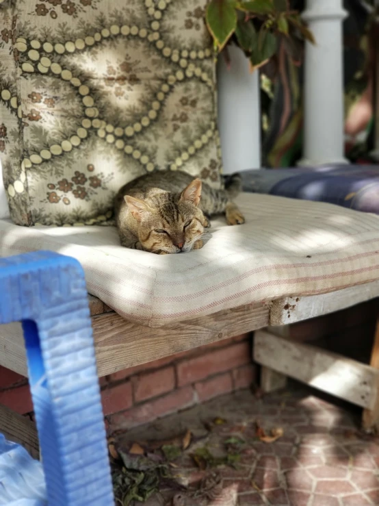 a cat sleeping on a cushion on an outside bench