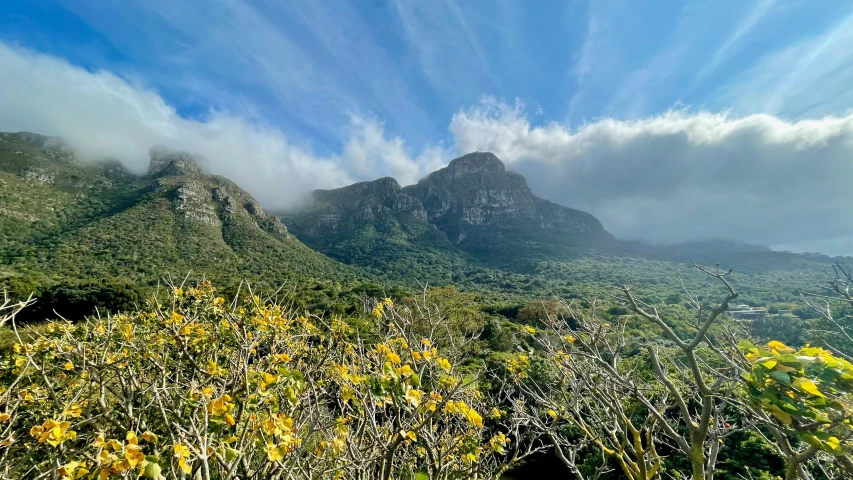 a view of several mountains near a forest