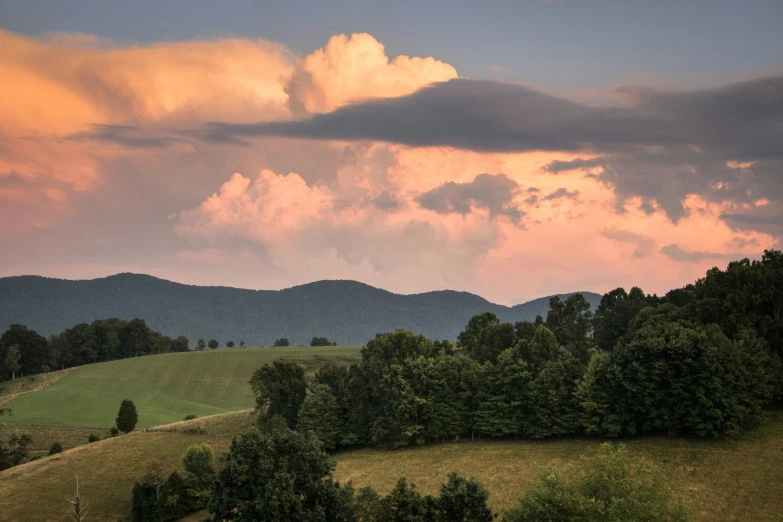 a large field with trees near some hills