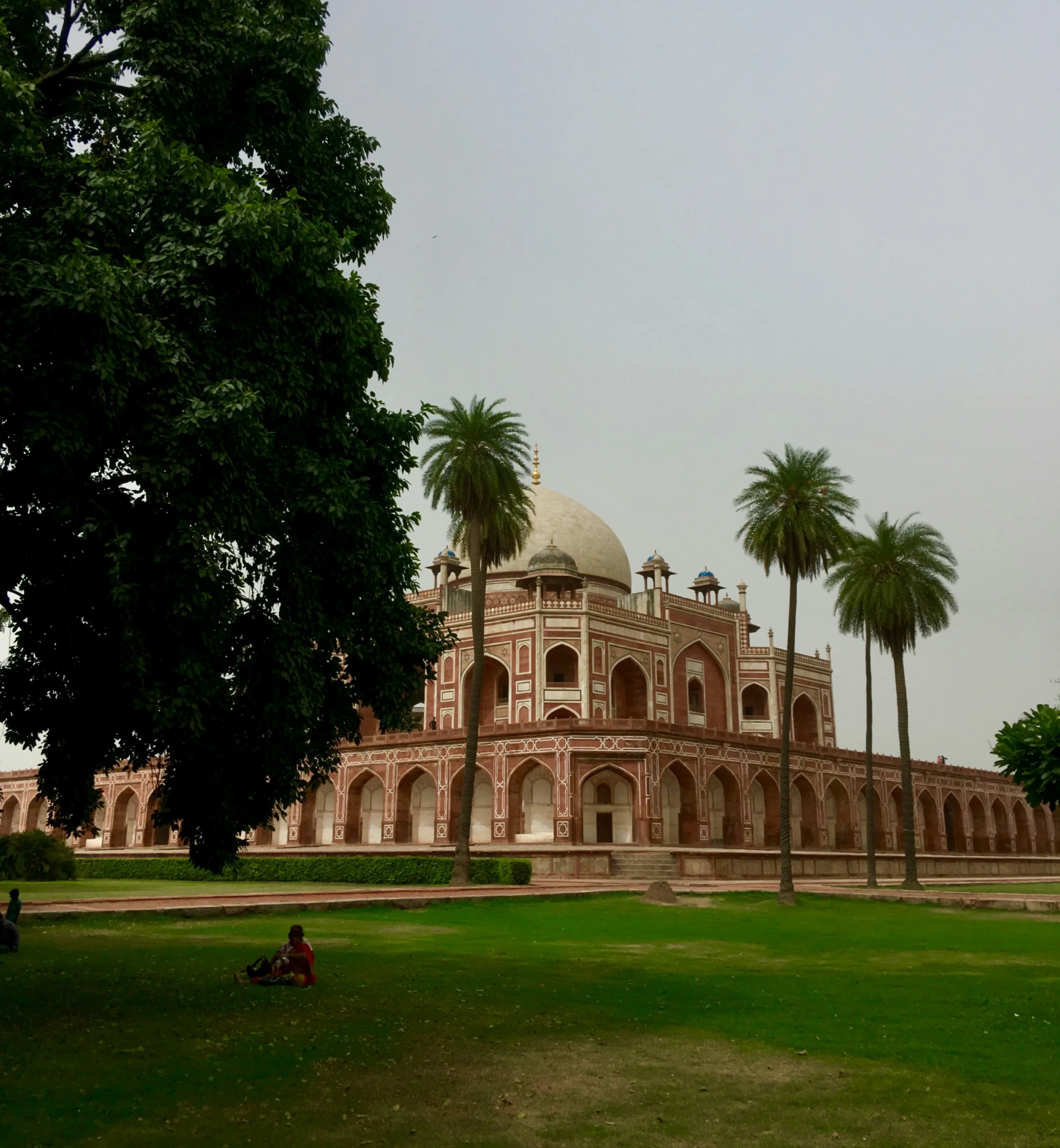 a big old building sits next to a palm tree