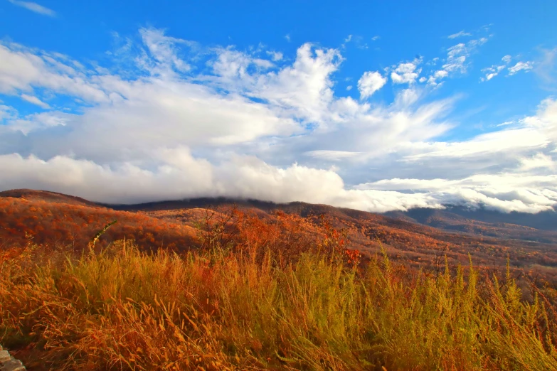 the view is very nice looking with yellow grass and low clouds