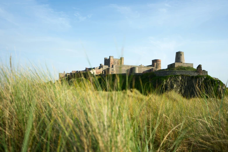 an old building is situated in tall grass