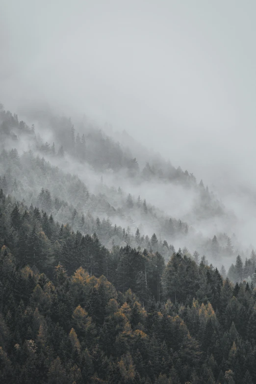 the mountain is covered in thick fog and low lying clouds