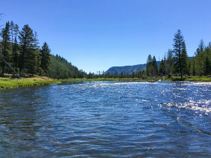 a stream in the middle of some forest