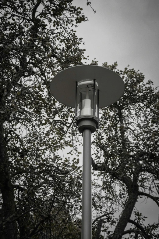 a lamp is placed against the tree's nches