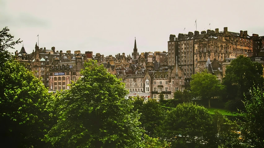 buildings behind trees and bushes in front of the city