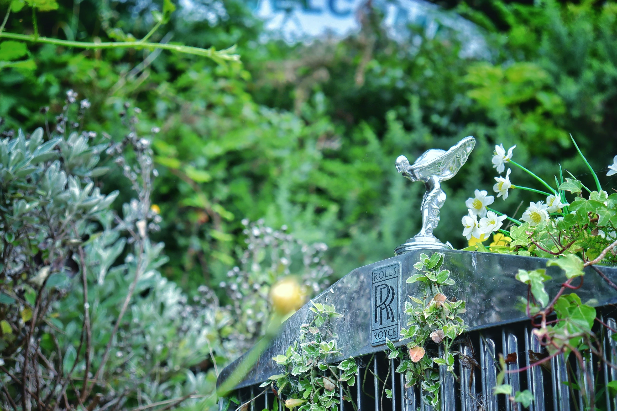 flowers and vegetation are growing on the old wrought iron fence