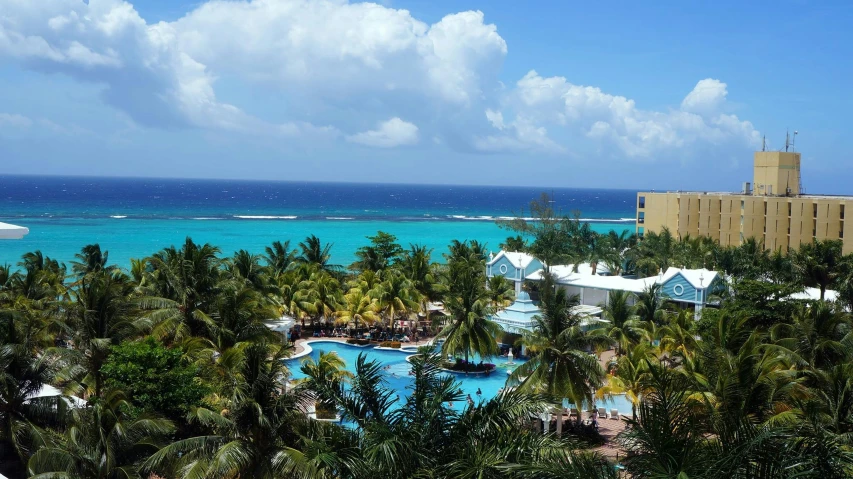 a el with palm trees in front and water in the background