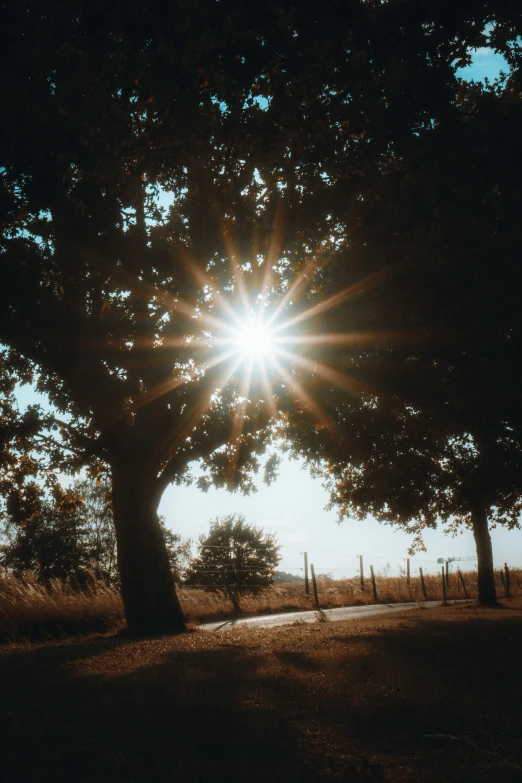 the sun shines bright through the trees on a path