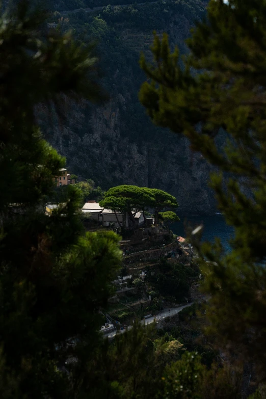 a bus is going by trees next to the ocean