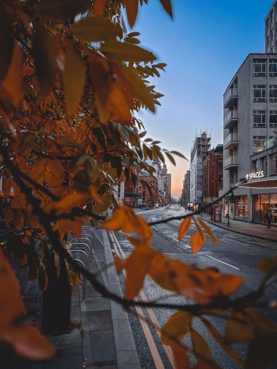 a road on a city street with buildings and stores around it