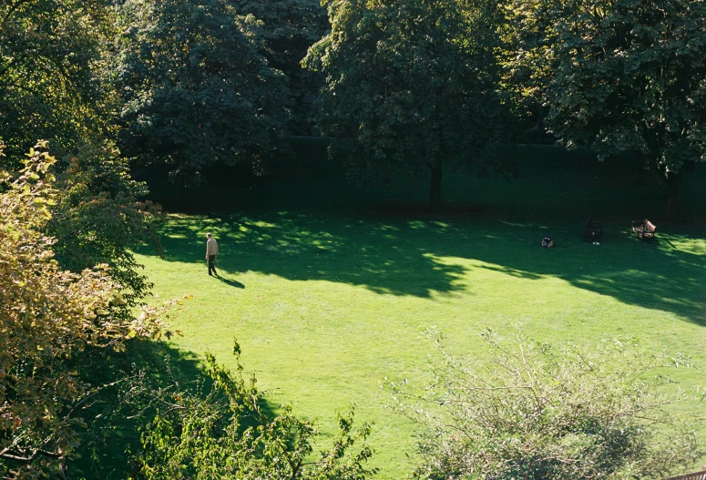 the sun shines on a green field with cattle