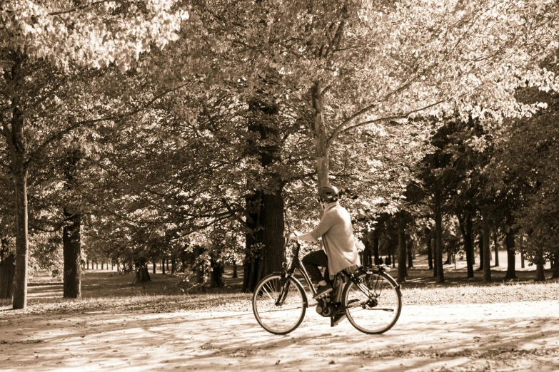 a man on a bike rides in a park