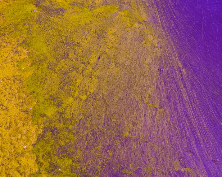 a purple and yellow area with trees and dirt in it