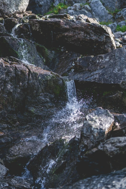 a bird flies near a cascade of water