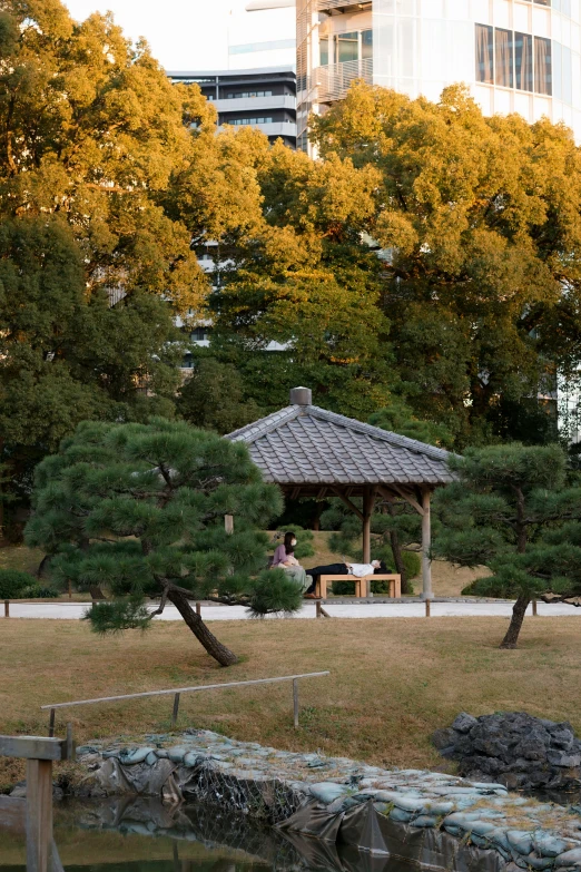 there is a small pavilion and trees near the pond