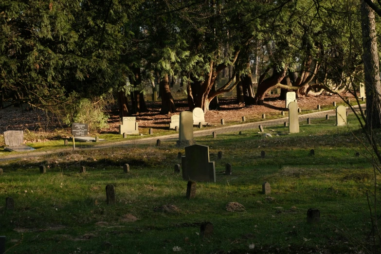a cemetery with headstones in the trees