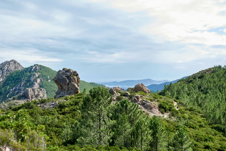 the mountains are covered in bushes and trees