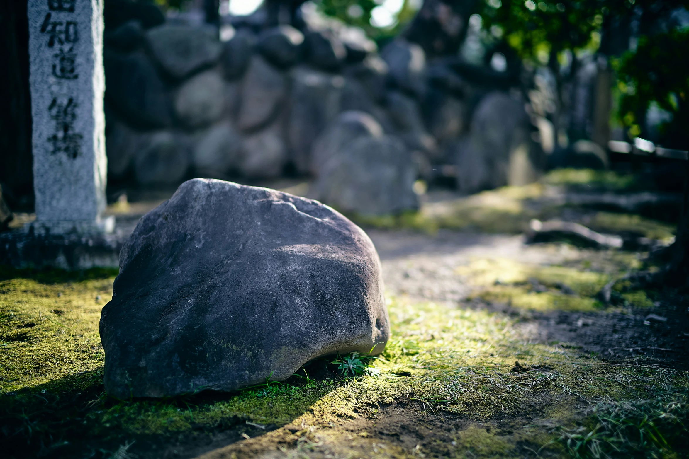 a rock is on the ground in front of rocks