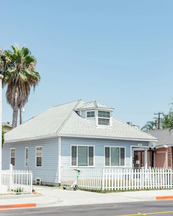 the house is white and has a palm tree