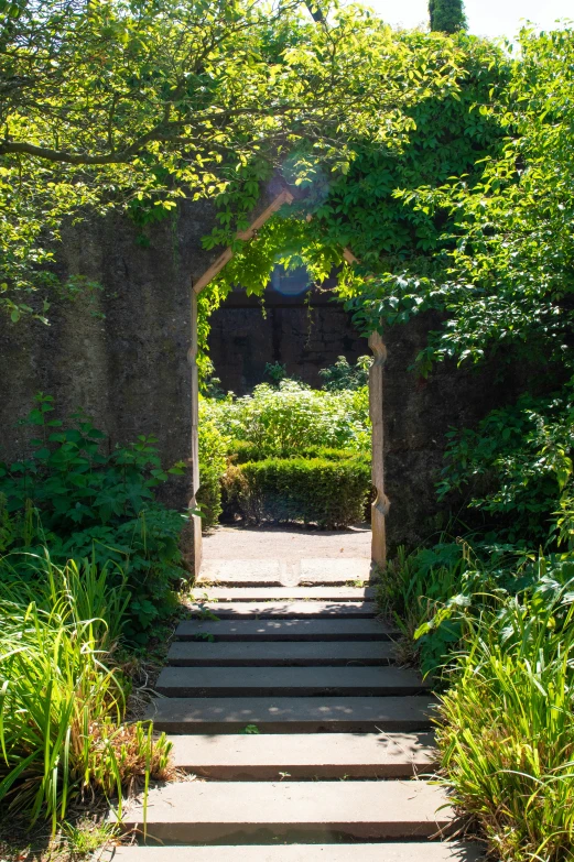 an entrance to an arbor lined garden