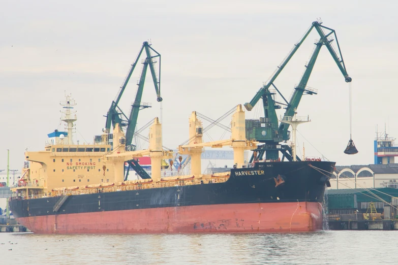 two large ships being unloaded in the port