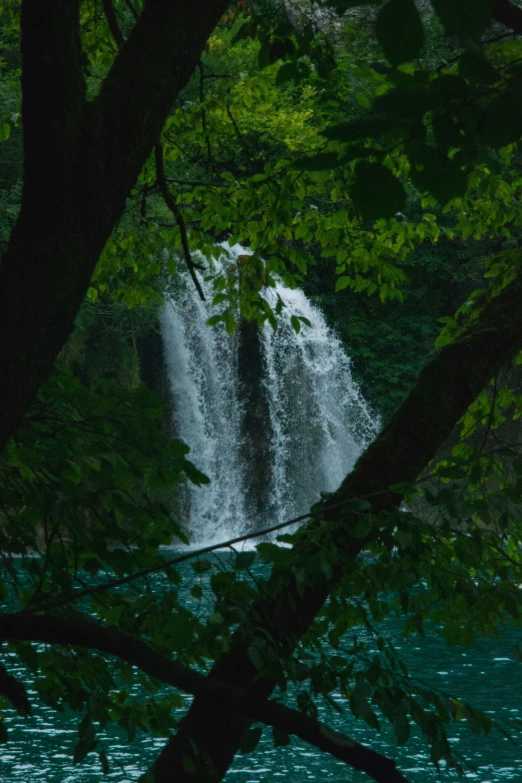 there is a waterfall and some trees in the water