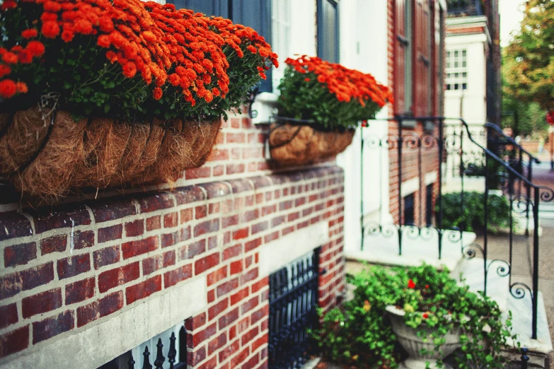 orange flowers in vases on brick wall and front steps