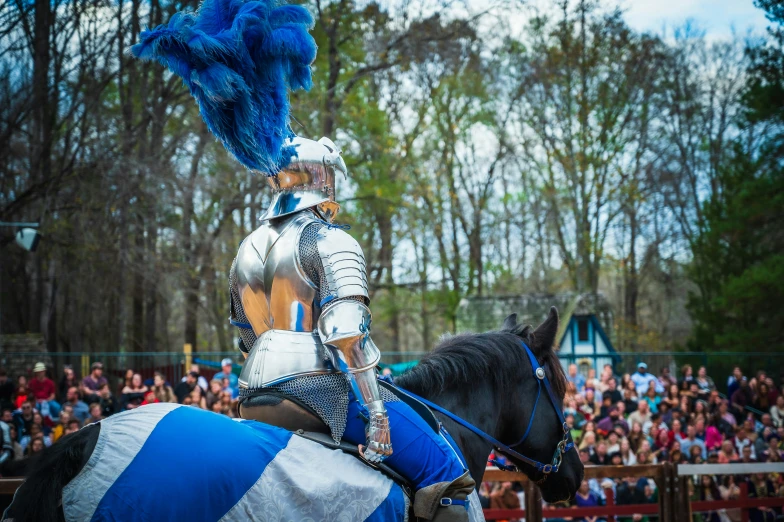 a woman riding a black horse wearing a blue and silver outfit