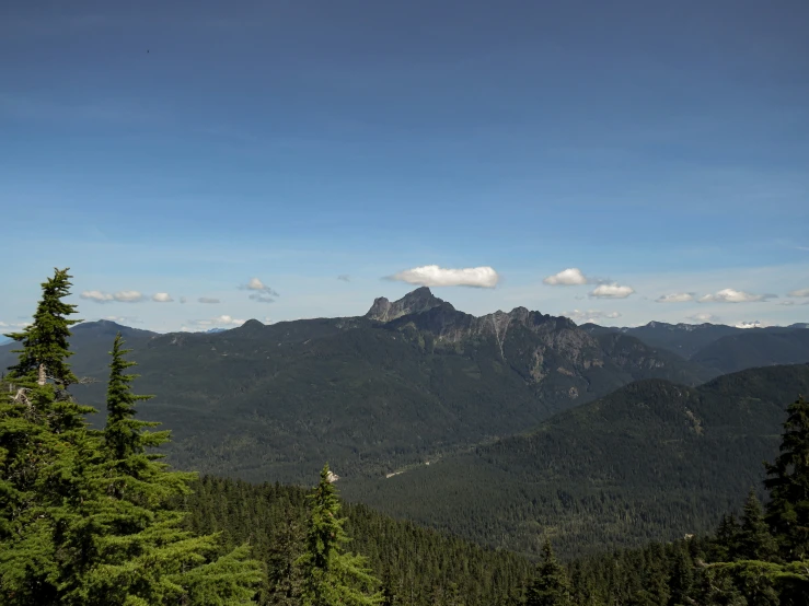 a large mountain range with trees on the ground