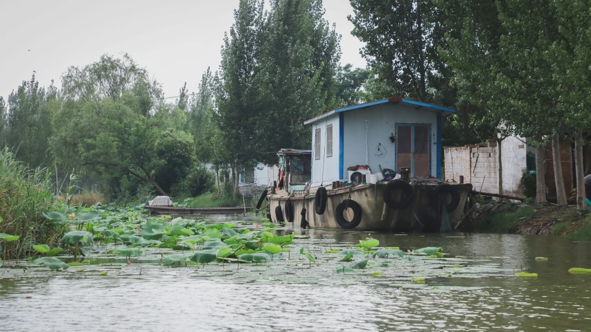 two wooden boats in front of houses by a body of water