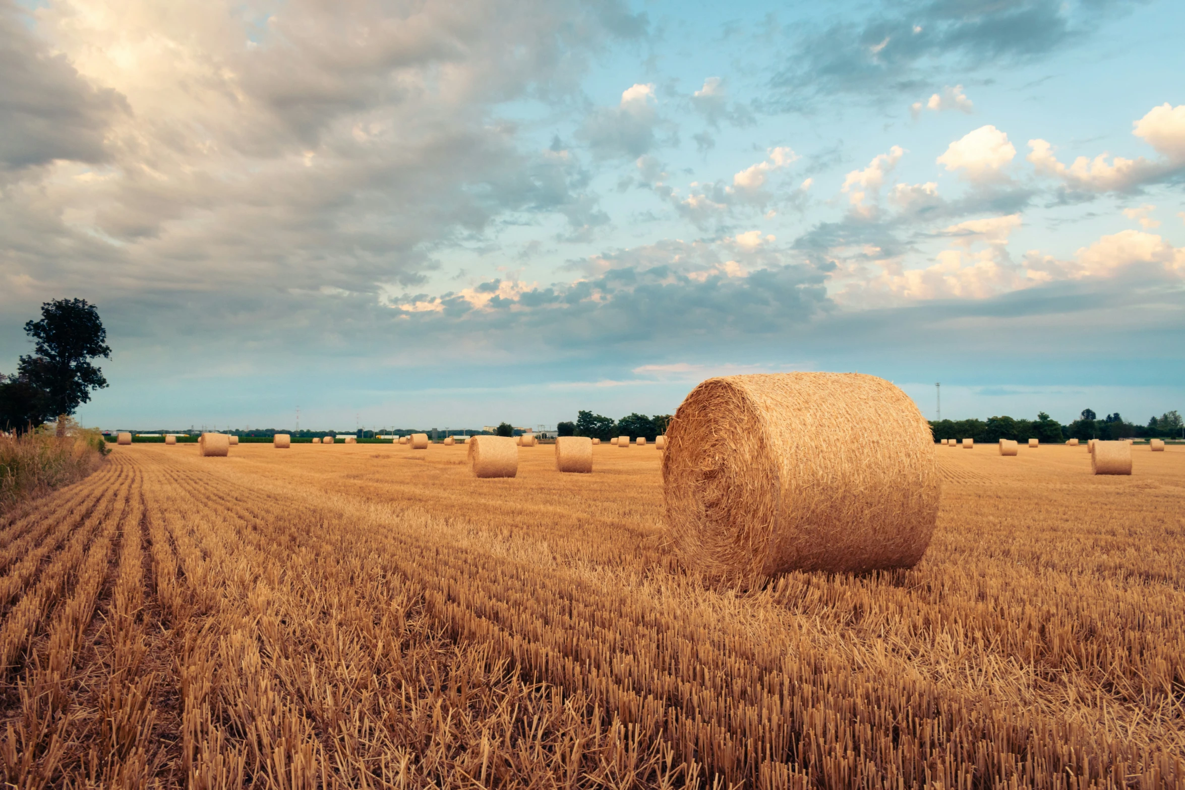 hay bails in a harvested field on a partly cloudy day