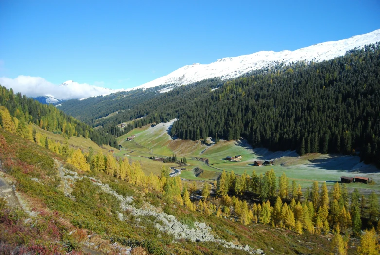 a valley with trees and mountains in the background